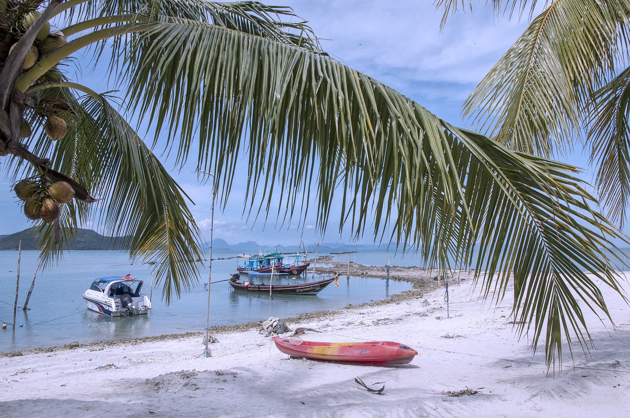 Ultimatives Abenteuer in Ko Samui: Elefanten, Schnorcheln und Dschungelsafaris